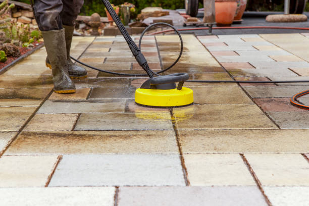 Spring Cleaning in Lake Delton, WI